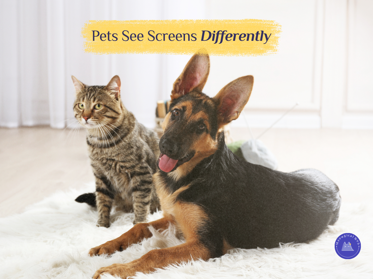 A German Shepherd and a tabby cat sitting together on a fluffy white rug in a bright living room, used to illustrate how pets see screens differently for a pet business fun fact post.