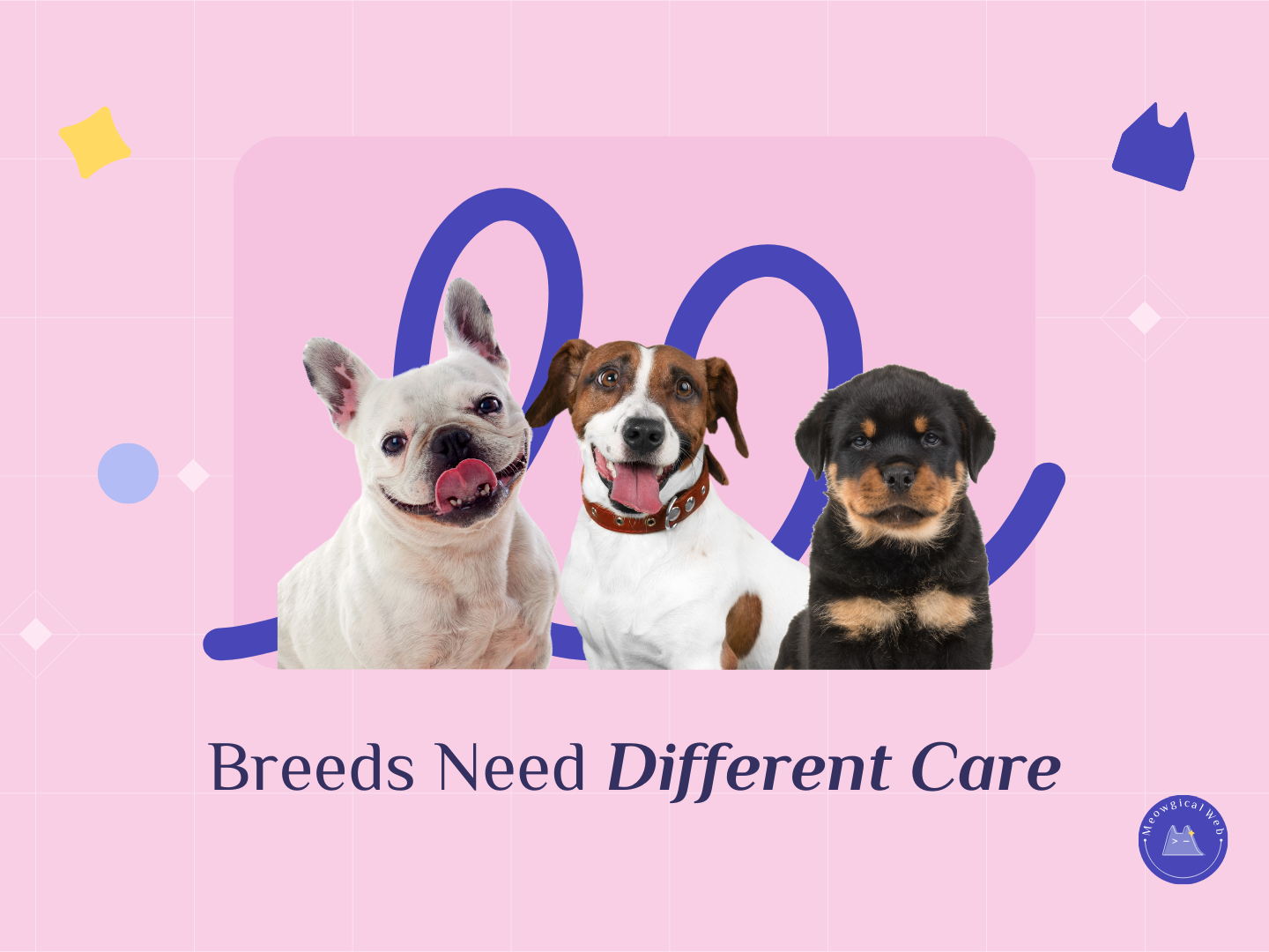 Website visual showing different dog breeds to represent breed specific care messaging on pet business websites.