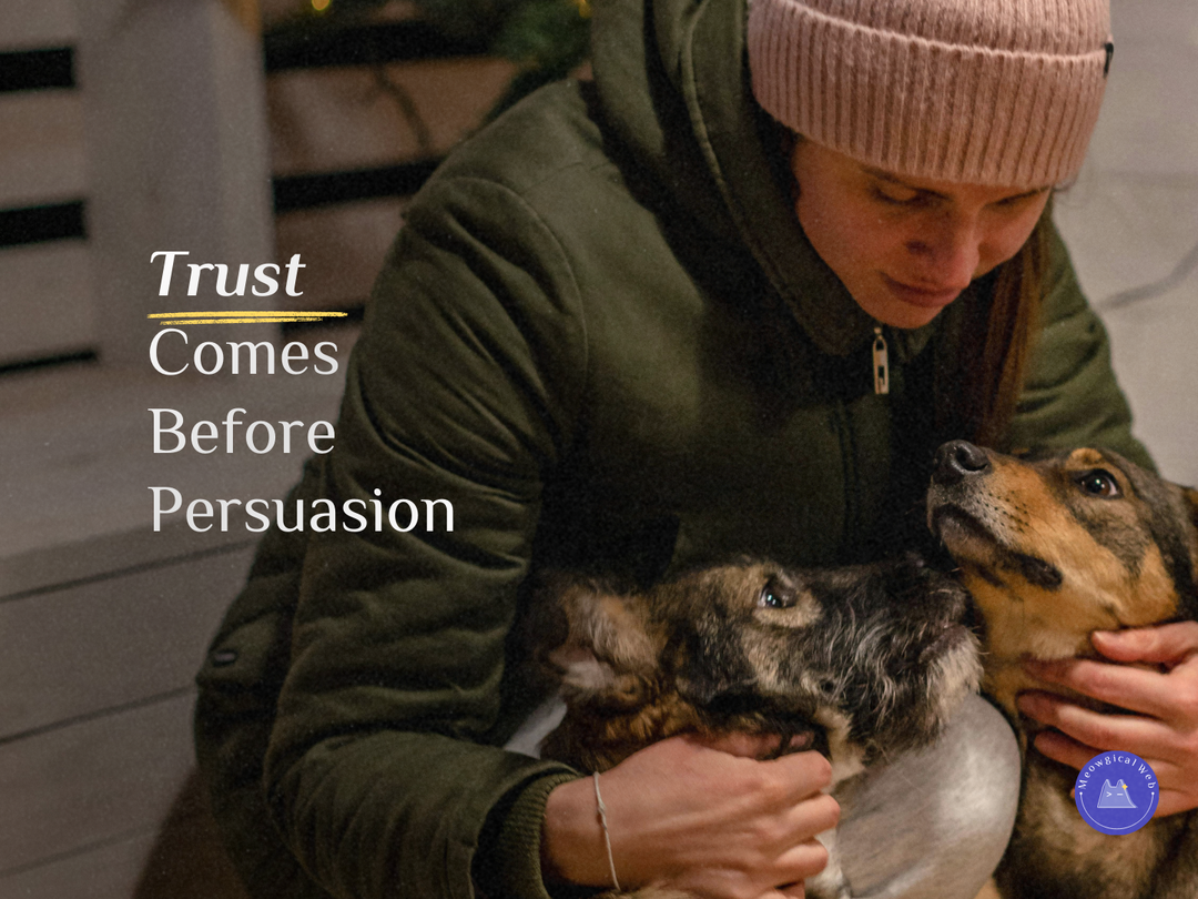 Pet owner gently caring for small dog showing trust and reassurance in pet services
