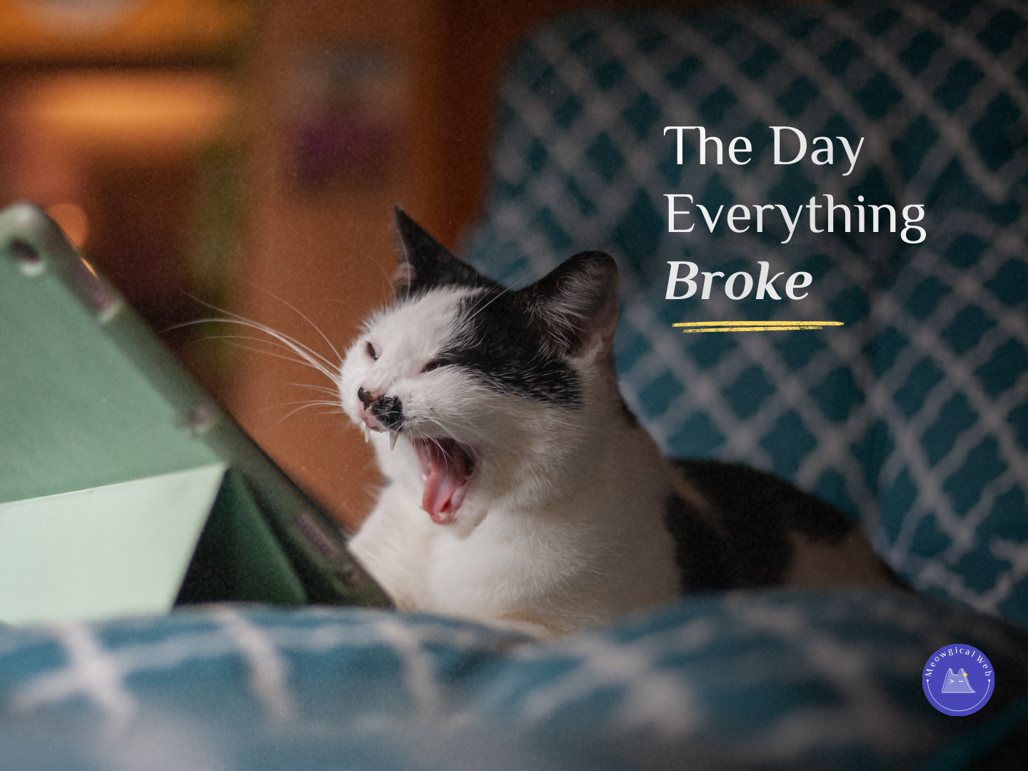 Shocked cat with mouth open representing pet business owner panic when website crashes and technical difficulties occur