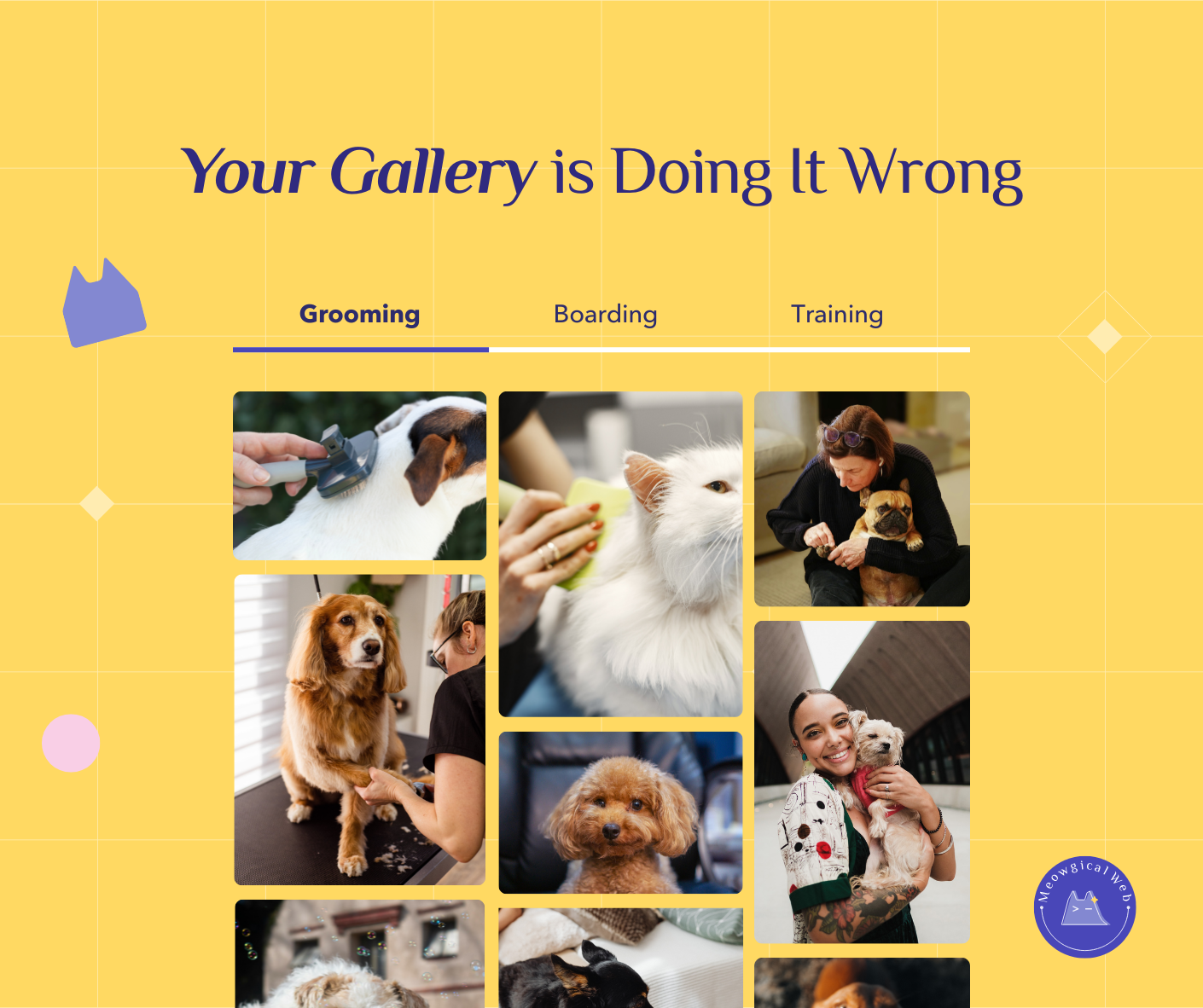 Pet business website gallery showing unorganized photo grid with grooming boarding training tabs demonstrating poor user experience