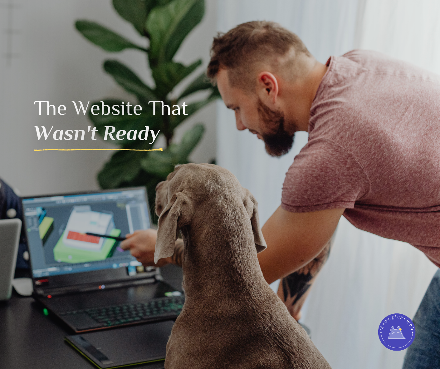 Man with dog looking at computer screen showing website design work representing small business preparing to launch