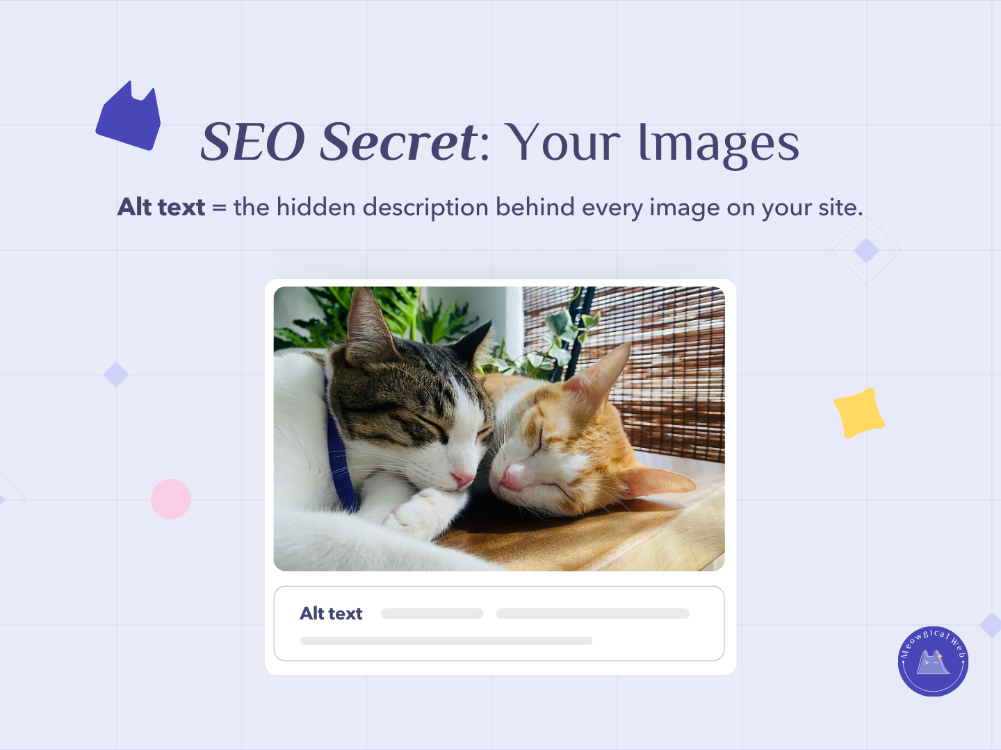 Two cats cuddling together showing pet business SEO alt text image optimization tutorial interface