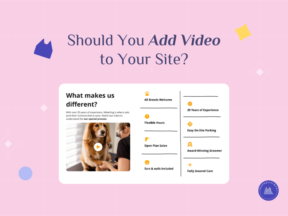 Pet business website showing video content strategy with grooming service video and text features list