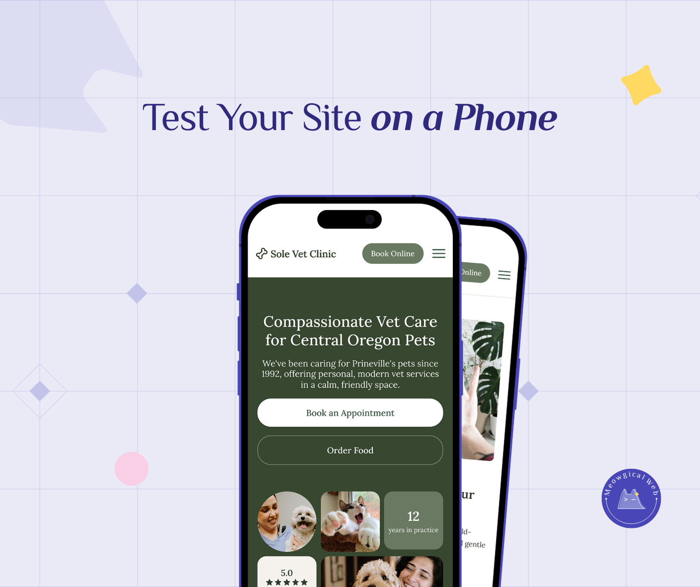 Mobile phone screens showing pet business veterinary clinic website with clear booking buttons demonstrating good mobile user experience
